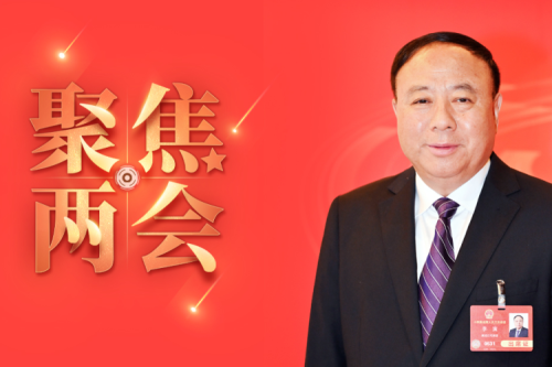 全國人大代表李寅2025年建議之四--盡快解決農林生物質發(fā)電可再生能源電價附加補助拖欠問題，化解行業(yè)經營風險的建議